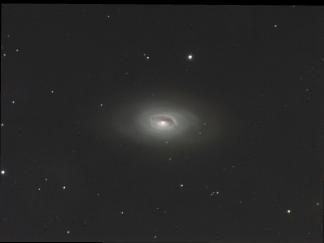 M64